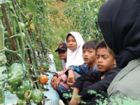 Berkebun Beternak Seru