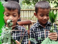 Berkebun Beternak Keluarga Bahagia
